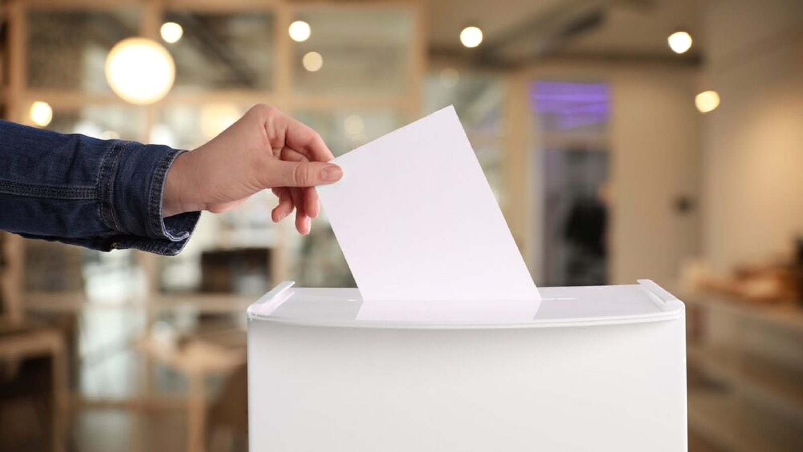 verkiezingsthema's